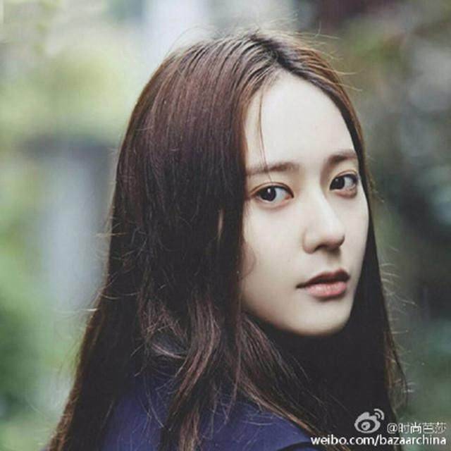 水墨牡丹